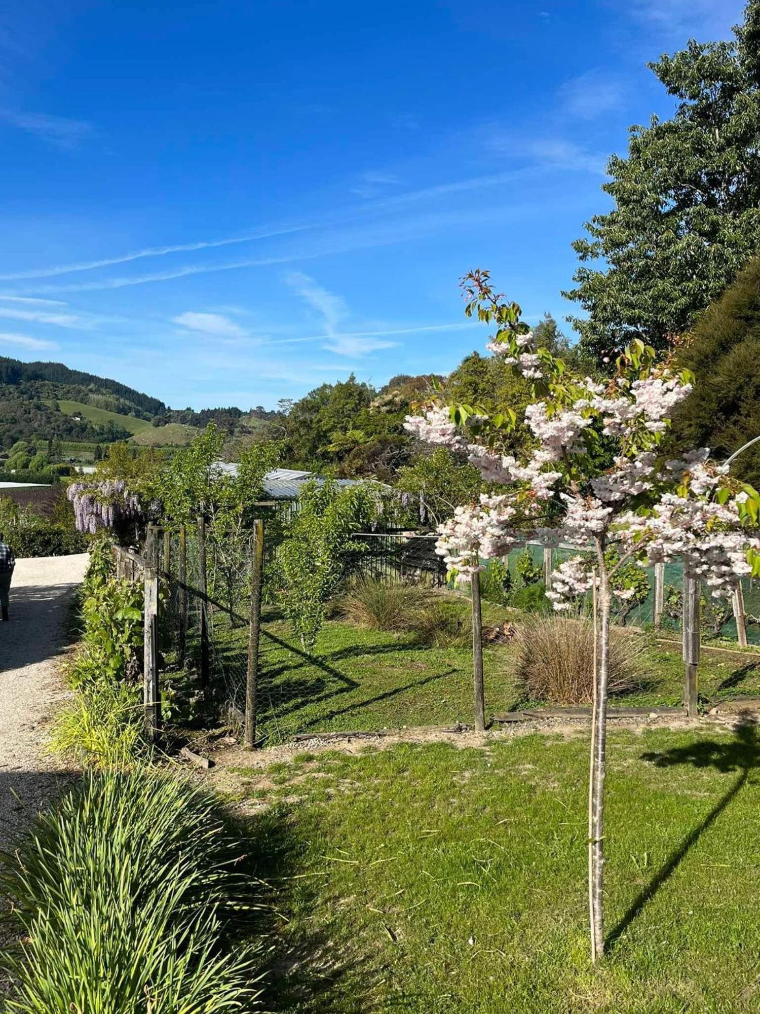 Terraced Chalets Motueka Εξωτερικό φωτογραφία