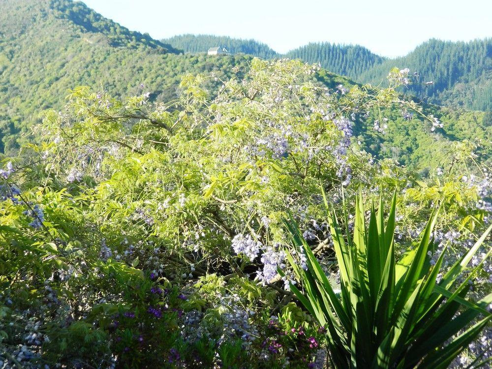 Terraced Chalets Motueka Εξωτερικό φωτογραφία